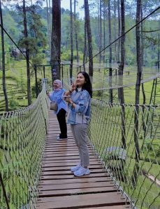 Keindahan Wisata Alam Pohon Pinus di Lembang